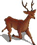 Deer.png