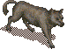 Wolf.png