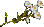 204.png