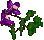 206.png